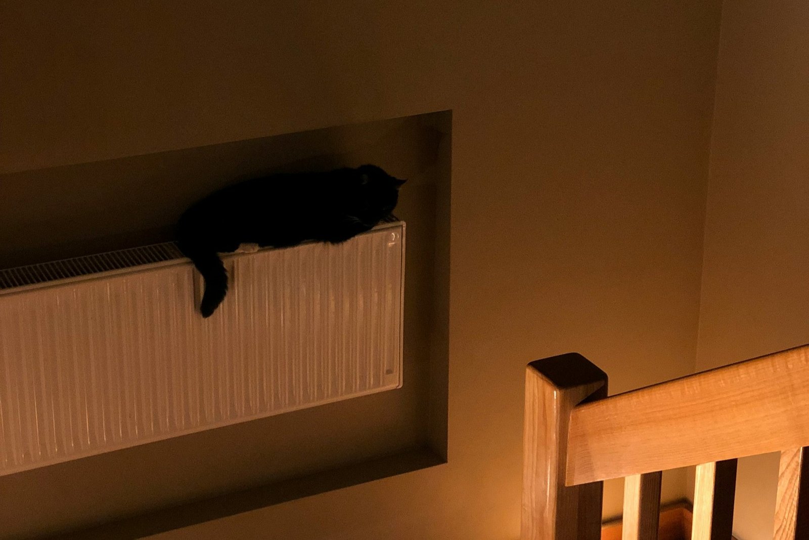 Heizkörper unter einem Fenster in einem dunklen Schlafzimmer